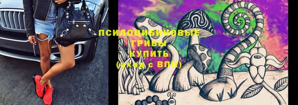 jwh Аркадак