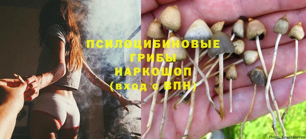 jwh Аркадак